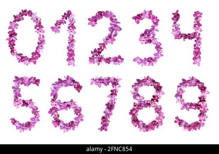 Numbers from zero to nine made of lilac flowers isolated on a white background. Top view. 1,2,3,4,5,6,7,8,9,0 Stock Photo