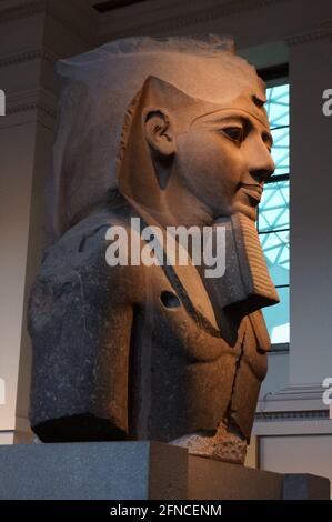 London, UK - January 30 2015: head of the monumental statue of Ramses II at the British Museum