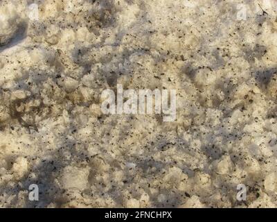 Background: muddy spring melting snow Stock Photo