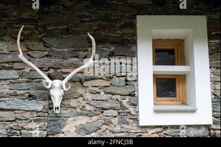 Deer skull hanging on a stone wall of an alpine hut. Stock Photo
