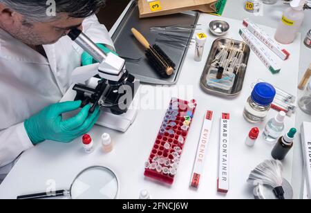 police scientist examines victim's hair under microscope in crime lab, conceptual image Stock Photo