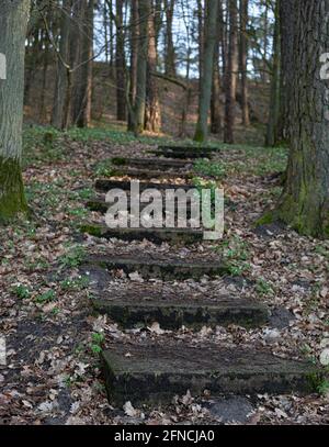 A staircase leading up the mountain with steps made of stone tiles. On ...
