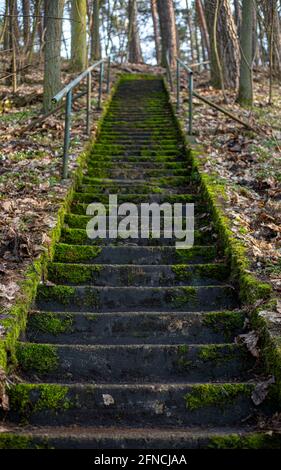 A staircase leading up the mountain with steps made of stone tiles. On ...