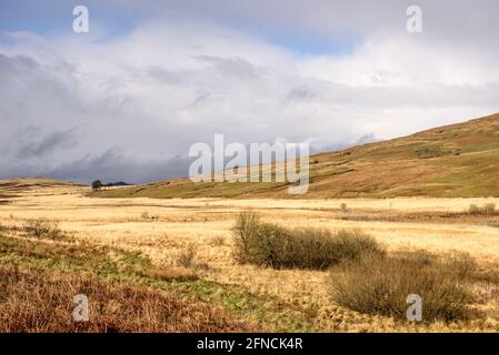 View along The Grobdale valley in Galloway Scotland Stock Photo