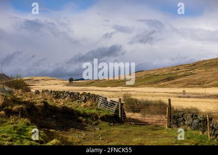 View along The Grobdale valley in Galloway Scotland Stock Photo