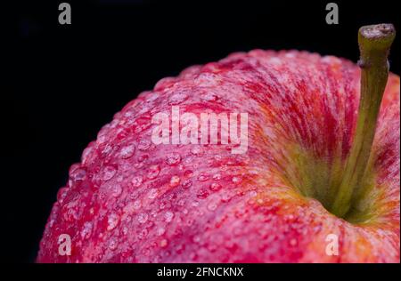 Macro photography of the red apple covered by water drops. Stock Photo