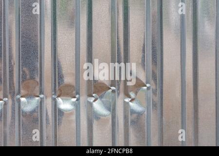 Galvanized sheet metal profile with vertical rails with dents in the lower part. Copy space. Stock Photo