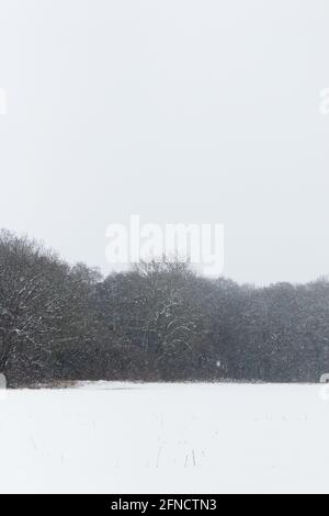 Picturesque snowy countryside in Somerset, England. Stock Photo