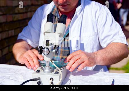 A veterinarian is examining sample of meat, pork lung tissue, on trichinosis, placing glass tiles under an electric microscope at outdoor laboratory. Stock Photo