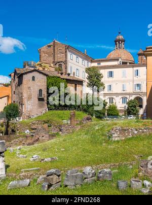 Scenic view in Rome on a sunny summer day, near the beautiful Teatro di Marcello (Theatre of Marcellus), Italy. Stock Photo