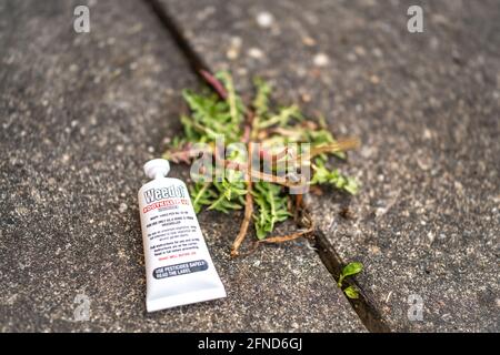 Selective and intentional focus on a tube of Weedol branded weed killer next to perennial weeds growing in the cracks between concrete paving slabs Stock Photo