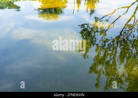 Trees are reflected in the pond Stock Photo