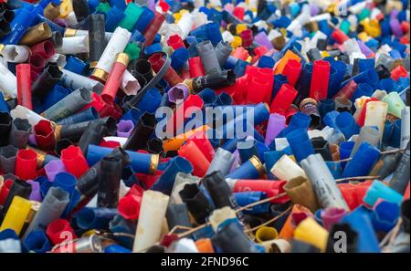 Many colorful spent shotgun shells displayed in front of a shooting range in the UK. Many different colors and gauges, concepts of clay shooting, war, Stock Photo