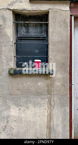 Boarded up window with disposable coffee cup discarded on black painted window ledge Stock Photo