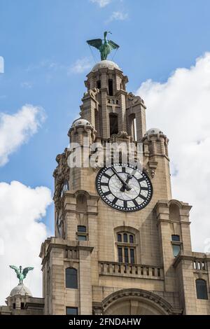 The two Liver Birds pictured on top of the Royal Liver Building on the famous Liverpool skyline seen in May 2021. Stock Photo