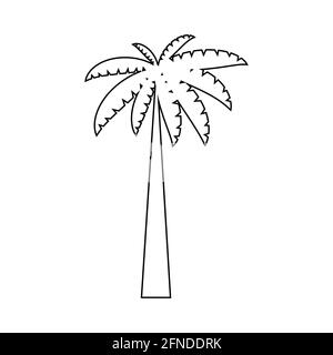 Tropical palm trees, black silhouettes and outline contours on white background. Stock Vector