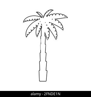 Tropical palm trees, black silhouettes and outline contours on white background. Stock Vector