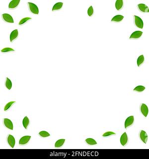 Falling green leaves. Fresh tea random leaves flying. Spring foliage dancing on white background. Alluring summer overlay template. Ideal spring sale Stock Vector