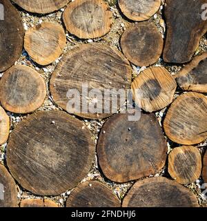 The sidewalk in the park is made of slices of wooden tree branches. The photo was taken in natural daylight. Stock Photo