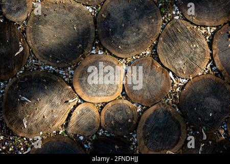 The sidewalk in the park is made of slices of wooden tree branches. The photo was taken in natural daylight. Stock Photo