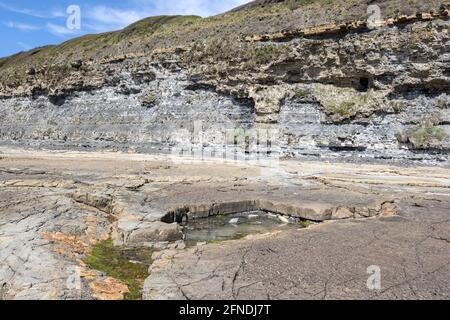 Rock pool, Kimmeridge Ledge, dolomite ledge, wave cut platform, Kimmeride clay cliff, Kimmeridge Bay, Isle of Purbeck, Jurassic Coast, Dorset, UK Stock Photo