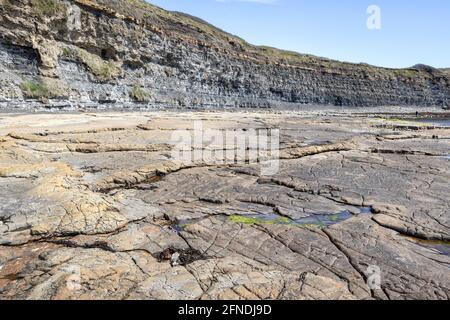 Rock pool, Kimmeridge Ledge, dolomite ledge, wave cut platform, Kimmeride clay cliff, Kimmeridge Bay, Isle of Purbeck, Jurassic Coast, Dorset, UK Stock Photo