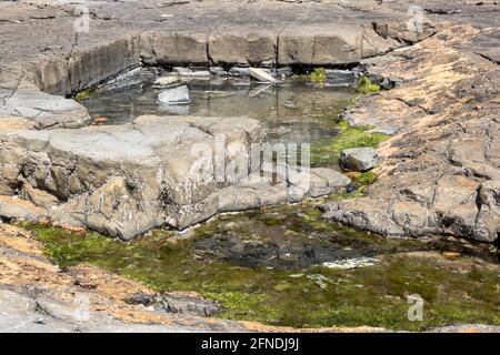 Rock pool, Kimmeridge Ledge, dolomite ledge, wave cut platform, Kimmeride clay cliff, Kimmeridge Bay, Isle of Purbeck, Jurassic Coast, Dorset, UK Stock Photo