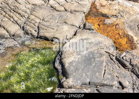 Rock pool, Kimmeridge Ledge, dolomite ledge, wave cut platform, Kimmeride clay cliff, Kimmeridge Bay, Isle of Purbeck, Jurassic Coast, Dorset, UK Stock Photo