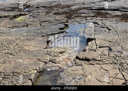 Rock pool, Kimmeridge Ledge, dolomite ledge, wave cut platform, Kimmeride clay cliff, Kimmeridge Bay, Isle of Purbeck, Jurassic Coast, Dorset, UK Stock Photo