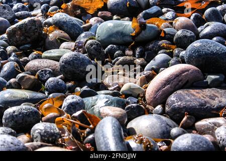 multi-colored stones on the seashore - Mølen Stock Photo