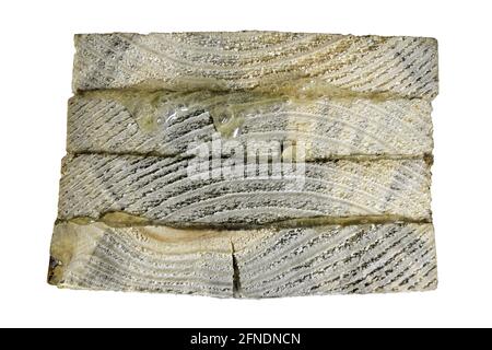 Four pieces of wood glued with resin-based glue. Raw wood planks glued together. Isolated background. Stock Photo