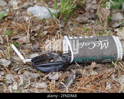 An empty McDonald's McCafe paper cup on the ground in a forest. Quebec,Canada. Stock Photo