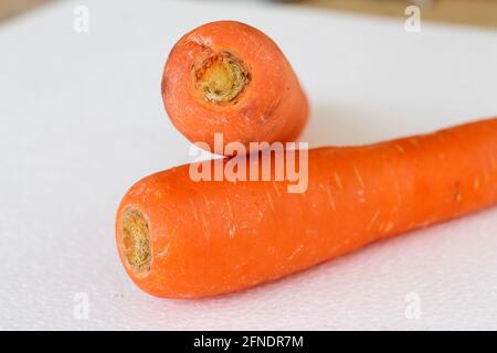 two carrots on white background which one on top Stock Photo