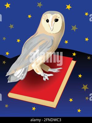 Cute barn owl, symbol of wisdom, sitting on a red book. Night landscape background with sky full of stars. Beautiful emblem for a school or for educat Stock Vector