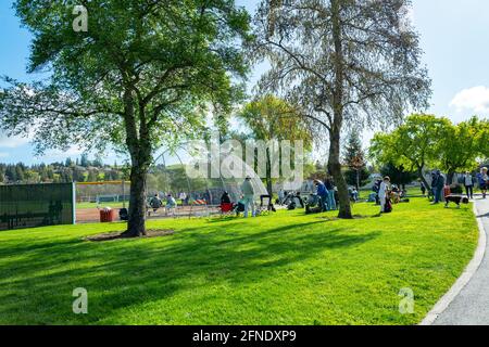 On the first day of Spring in the San Francisco Bay Area, Danville, California, people are visible attending a little league baseball game in Osage Station Park, March 20, 2021. () Stock Photo