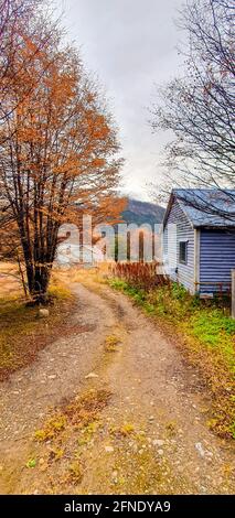 A vertical shot of a dirt road in a farmland with red autumn trees and small wooden shacks around it Stock Photo