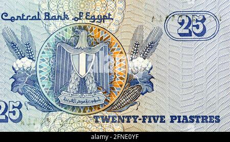 A fragment of the reverse side of 25 Egyptian piasters banknote Issue 2006 , the observe side has an image of Ayesha mosque and the reverse side has a Stock Photo