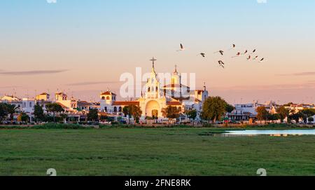 Village El Rocio with hermitage of El Rocio, hermitage Ermita del Rocio in the evening light, pink flamingos (Phoenicopterus roseus) in flight, El Stock Photo