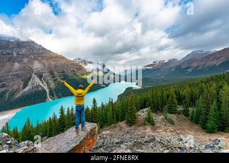 Hiker stretches his arms in the air, view of turquoise glacial lake surrounded by forest, Peyto Lake, Rocky Mountains, Banff National Park, Alberta Stock Photo