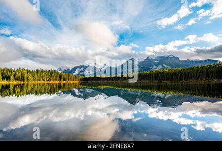 Herbert Lake, mountains of the Bow Range reflected in the lake, Banff National Park, Canadian Rocky Mountains, Alberta, Canada Stock Photo
