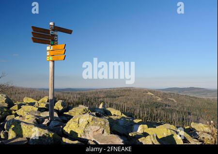 Lusen, 1373 meters, sea of granite blocks on the summit, evening, October, Bavarian Forest National Park, Bavaria, Germany Stock Photo