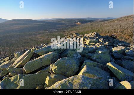 Lusen, 1373 meters, sea of granite blocks on the summit, evening, October, Bavarian Forest National Park, Bavaria, Germany Stock Photo