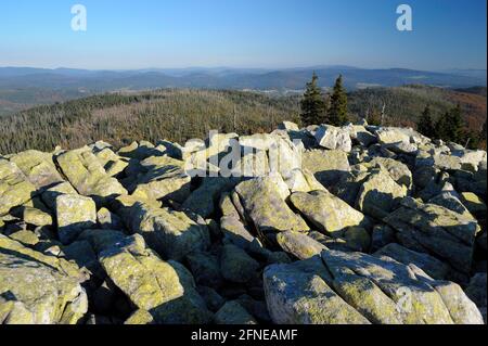 Lusen, 1373 meters, sea of granite blocks on the summit, evening, October, Bavarian Forest National Park, Bavaria, Germany Stock Photo