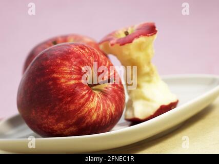 Malus domestica, cultivated apple, apple, apples, rose family, ROYAL GALA APPLE AND CORE malus domestica Stock Photo