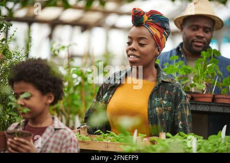 Family of three planting seedlings together while working in the garden Stock Photo