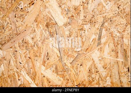 abstract textured background of compressed plywood. texture of light brown pressed wooden board chipboard. top view, close up Stock Photo
