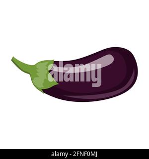 eggplant illustration vector isolated on white background Stock Vector