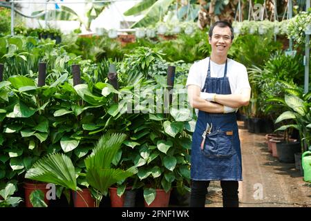 Joyful young Asian man in denim apron working at greenhouse Stock Photo