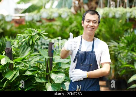Happy excited young greenhouse worker in protective glove showing thumbs-up and smiling at camera Stock Photo