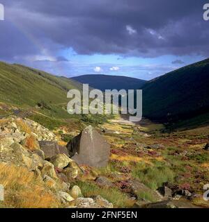 Landscape in the Wicklow Mountains. [automated translation] Stock Photo